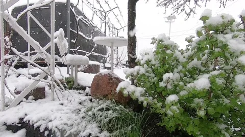 Snow in spring Stock Footage 162166373