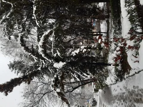 Snow in spring Stock Photos