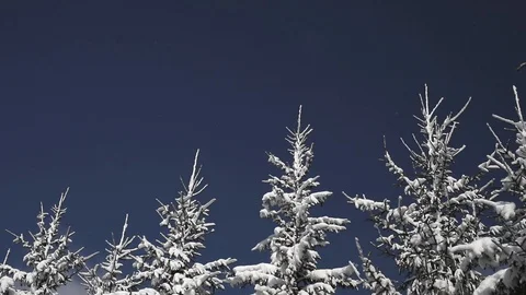 Snow spruces against the backdrop of floating clouds in the blue sky Video stock 126609322
