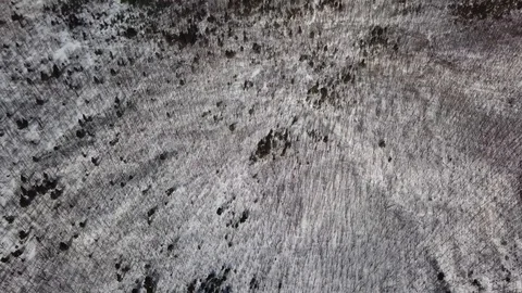 Snow squall on lake superior 스톡 동영상 100136348