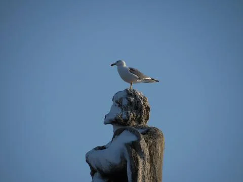 Snow on St Peter, Rome Stock Photos