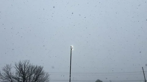 Snow storm against a gray sky with lit up street light Video stock 344453989