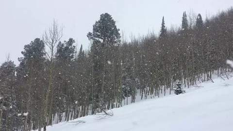 Snow Storm and Blizzard at Crested Butte, Colorado Stock Footage 74301488