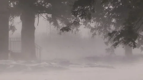 Snow storm and blizzard Stock Footage 46879772