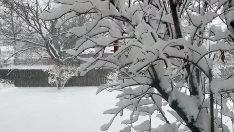 Snow storm in a backyard Stock Footage 302471377