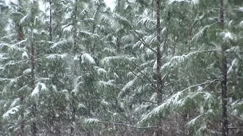 Snow Storm Blizzard Stock Footage 12626114