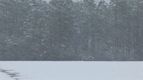 Snow Storm Blizzard Stock Footage 12626139