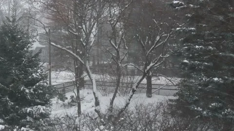 Snow storm blizzard heavy wind on a suburb street Stock-Footage 225555644