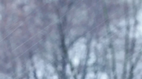 Snow Storm Blizzard with Wind HD Stock Footage 33638965