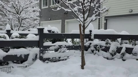 Snow storm in Canada Video stock 261914421
