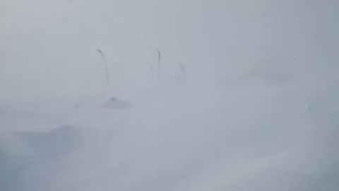 Snow storm caught on camera Stock Footage 79978416