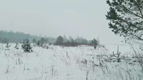 Snow storm in a field Stock Footage 262372545