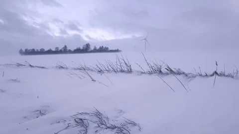 Snow storm on fields at sunset. Rural landscape at blizzard Stock Footage 325886688