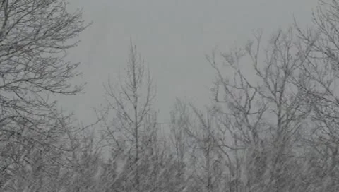 Snow Storm Stock Footage 8983690