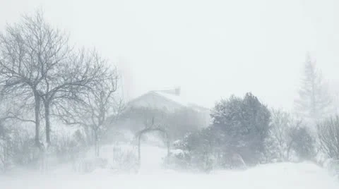 Snow storm Stock Footage 10765700