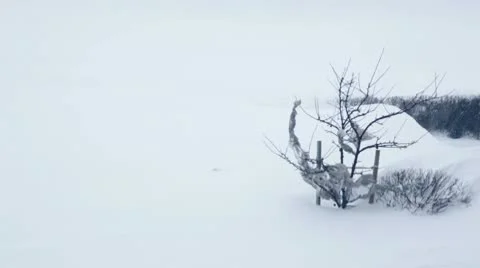 Snow storm Stock Footage