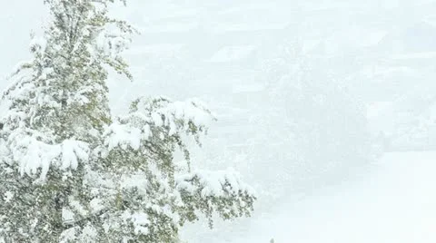 Snow storm Vidéo 12413995