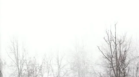  snow Storm Stock Footage 22222487