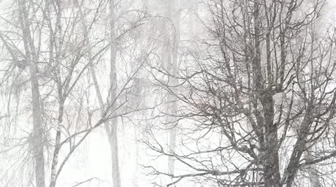 snow Storm Video stock 22222885