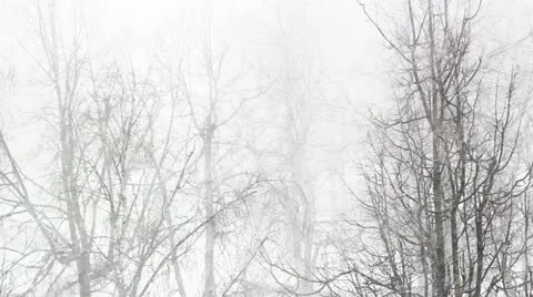  snow Storm 動画素材 22223168