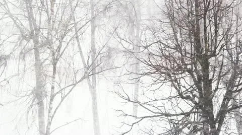  snow Storm Stock Footage 22225160