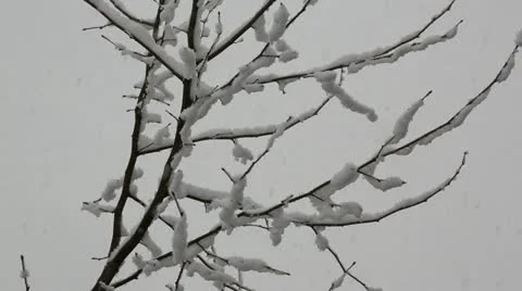 Snow storm Stock-Footage 22247047