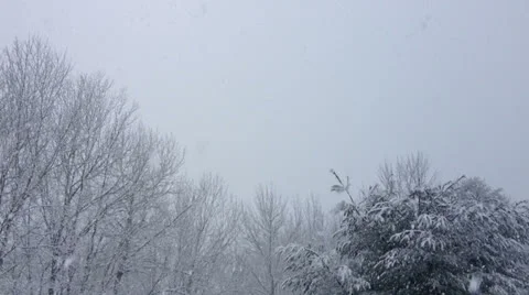 Snow Storm Vidéo 22635108
