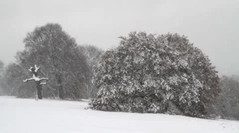 Snow Storm Video stock 24232302