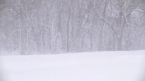 Snow Storm Stock Footage 33477419