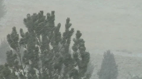 Snow Storm Stock Footage 54752448