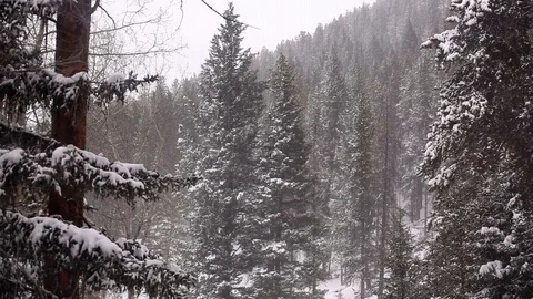 Snow storm Stock Footage 107735491