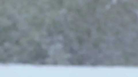 Snow storm Stock Footage 146888435