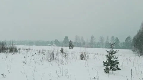 Snow storm Stock Footage 262372795