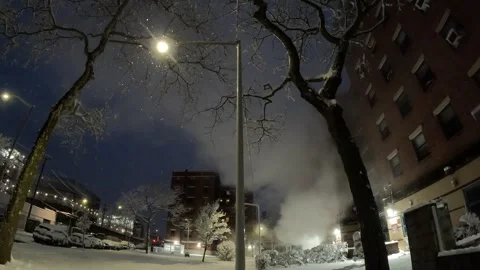 Snow Storm 動画素材 264956598