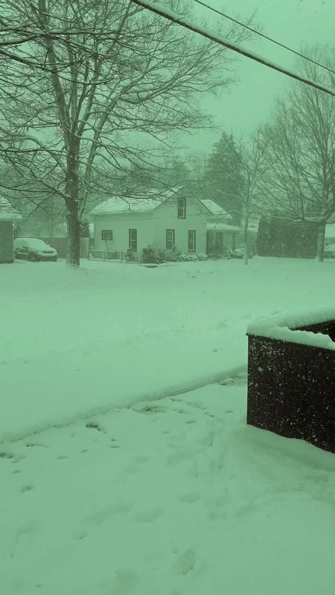 Snow storm Stock Footage 279522843