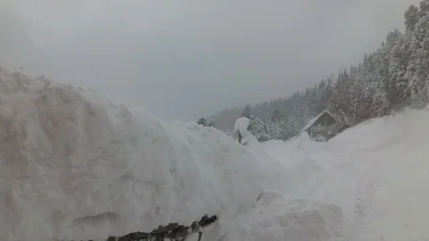 Snow Storm In the Forest Mountain Hut Stock Footage 101741427