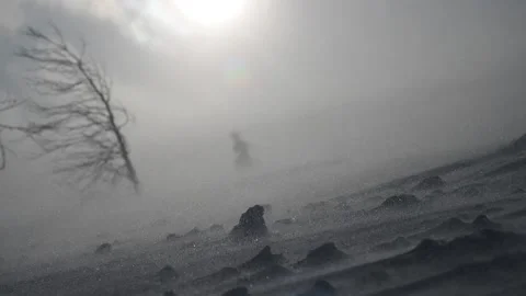 Snow storm in mountains, epic strong wind in polar region in winter, arctic Stock Footage 145315147
