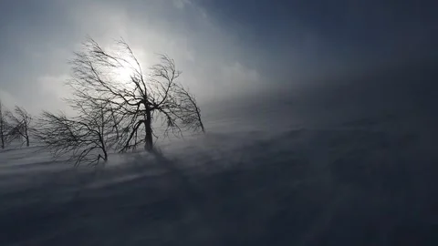 Snow storm in mountains, epic strong wind in polar region in winter, arctic Stock Footage 145315161