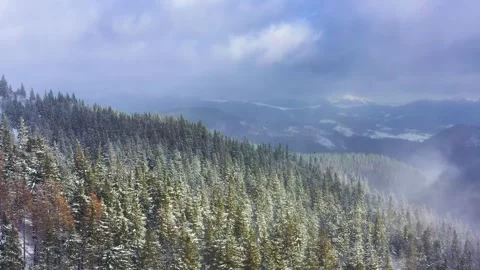 Snow storm in the mountains Stock Footage 255190027