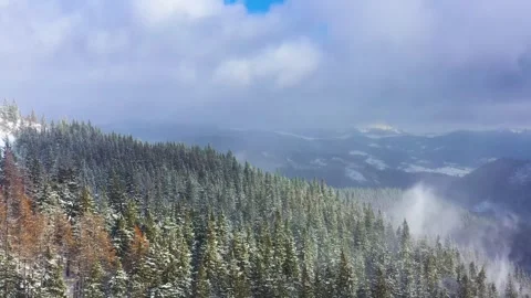 Snow storm in the mountains Stock Footage 255801143