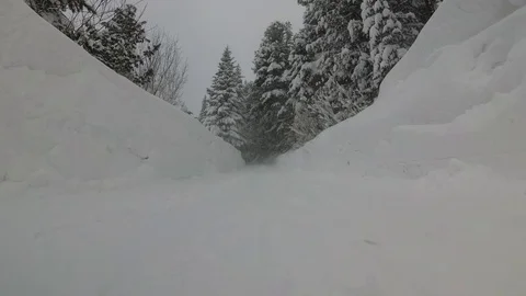 Snow Storm in the Mountains Snowy Path in the Forest Stock Footage 101741788