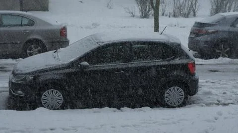 Snow storm Fotos de archivo