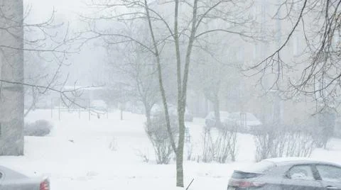Snow storm Fotos Stock