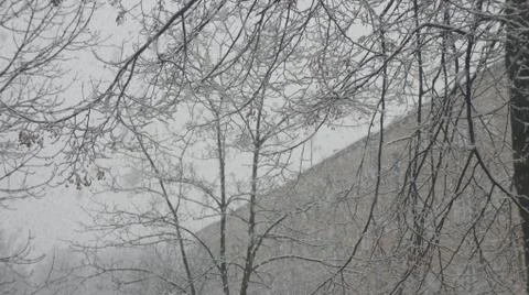 Snow storm Fotos de archivo