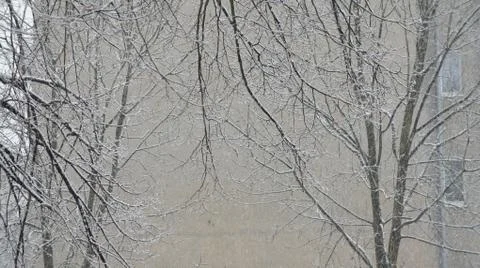 Snow storm Fotos de archivo