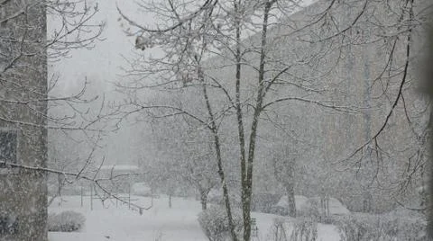 Snow storm Stock-Fotos