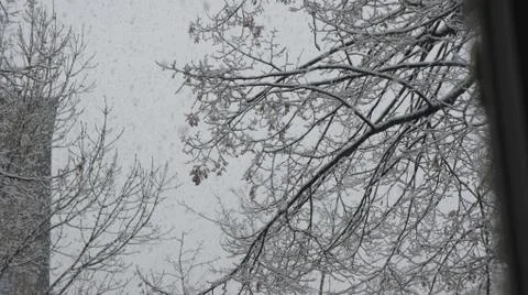 Snow storm Fotos de archivo