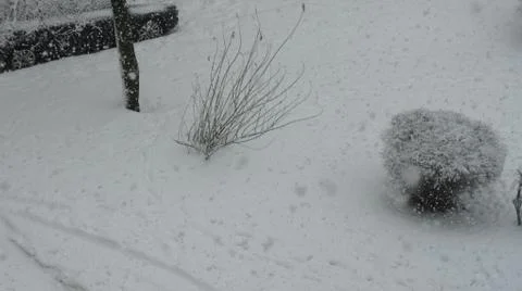 Snow storm Fotos de archivo