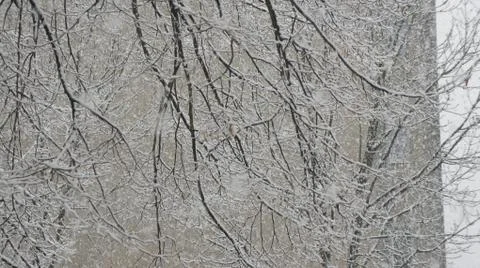 Snow storm Fotos de archivo