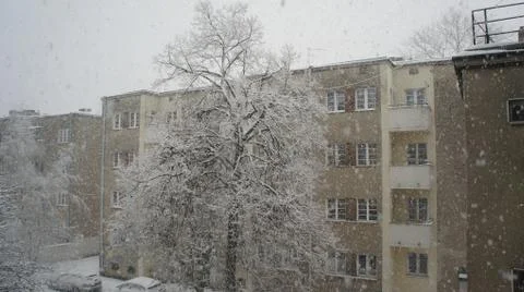 Snow storm Stock Photos